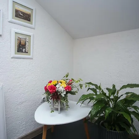 Art Apartment Bihac
